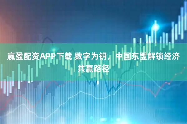 赢盈配资APP下载 数字为钥，中国东盟解锁经济共赢路径