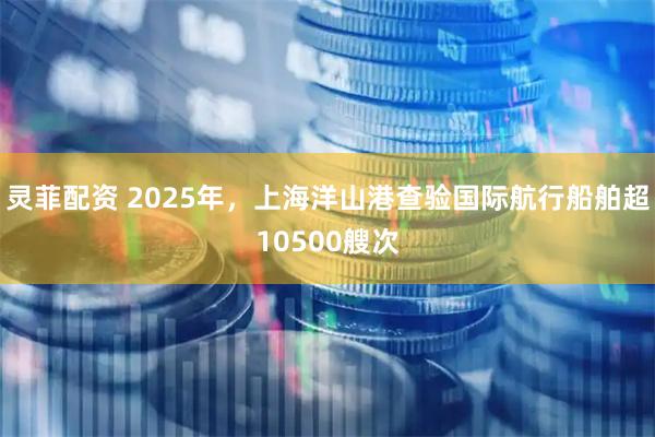 灵菲配资 2025年，上海洋山港查验国际航行船舶超10500艘次