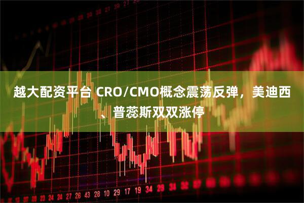 越大配资平台 CRO/CMO概念震荡反弹，美迪西、普蕊斯双双涨停